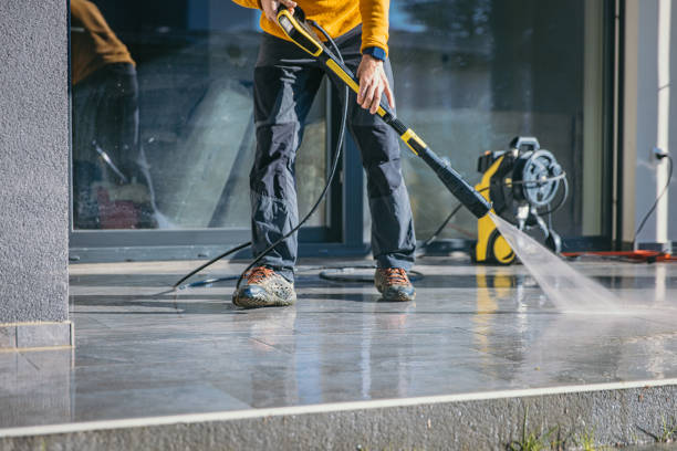 Best Dumpster Area Cleaning  in Bemidji, MN